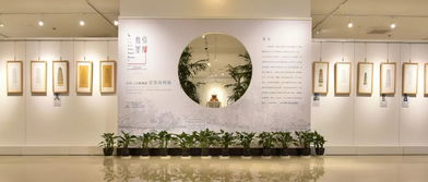 歷史文化與藝術(shù)的多元融合——上海思博職業(yè)技術(shù)學(xué)院中國(guó)傳統(tǒng)文化教育活動(dòng)開放日掠影